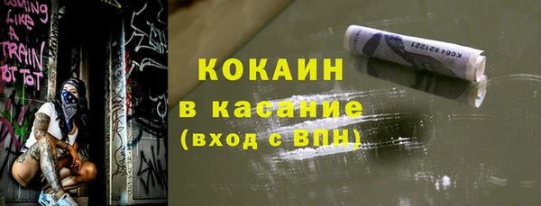 спиды Богородицк