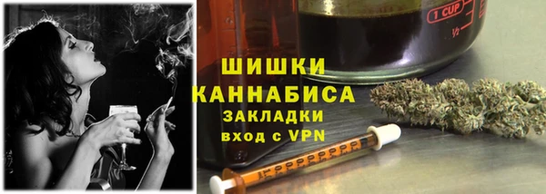 спиды Богородицк