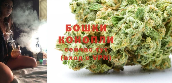 спиды Богородицк