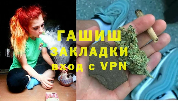спиды Богородицк