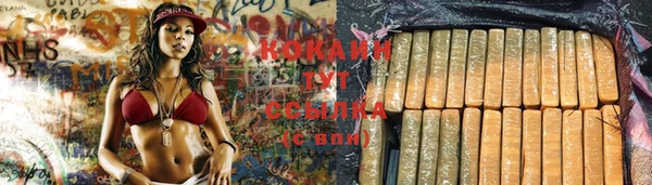 хмурый Богданович