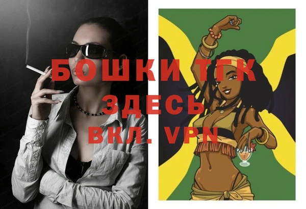 спиды Богородицк