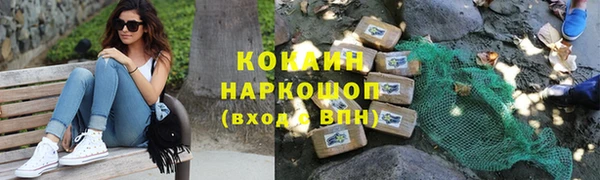 спиды Богородицк