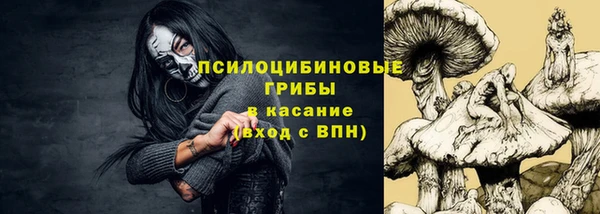 спиды Богородицк