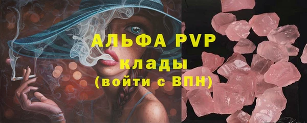 спиды Богородицк